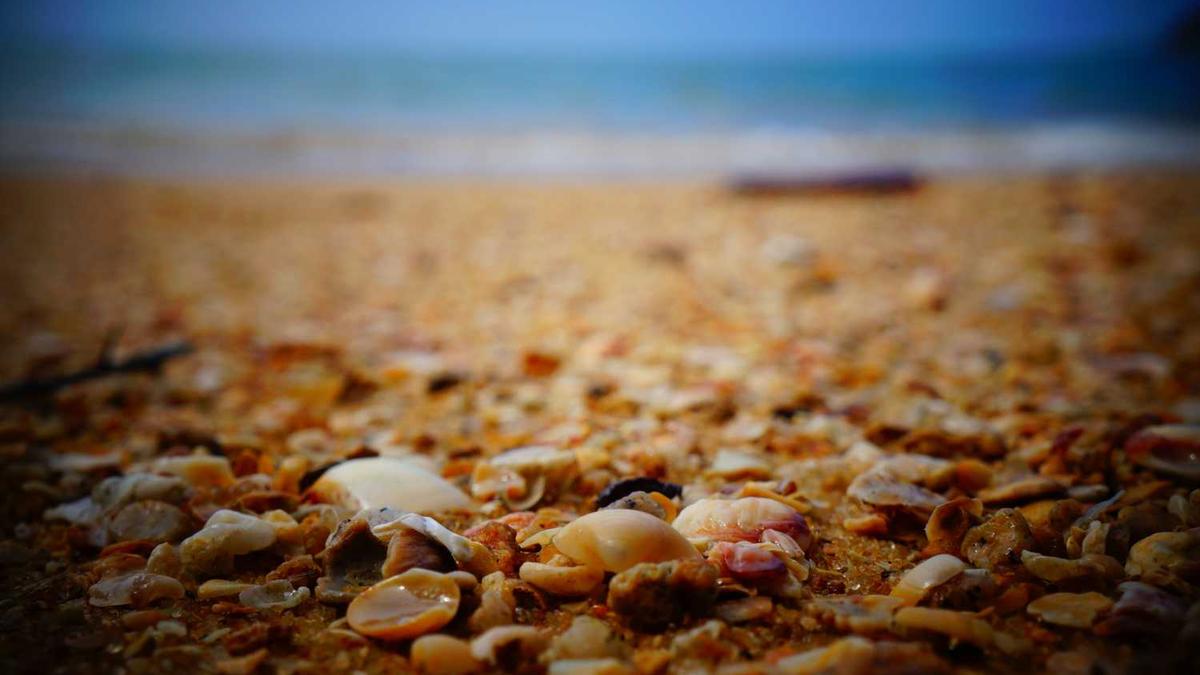 Bitcoin Price Forecast: BTC risks further correction as demand wanes - FXStreet