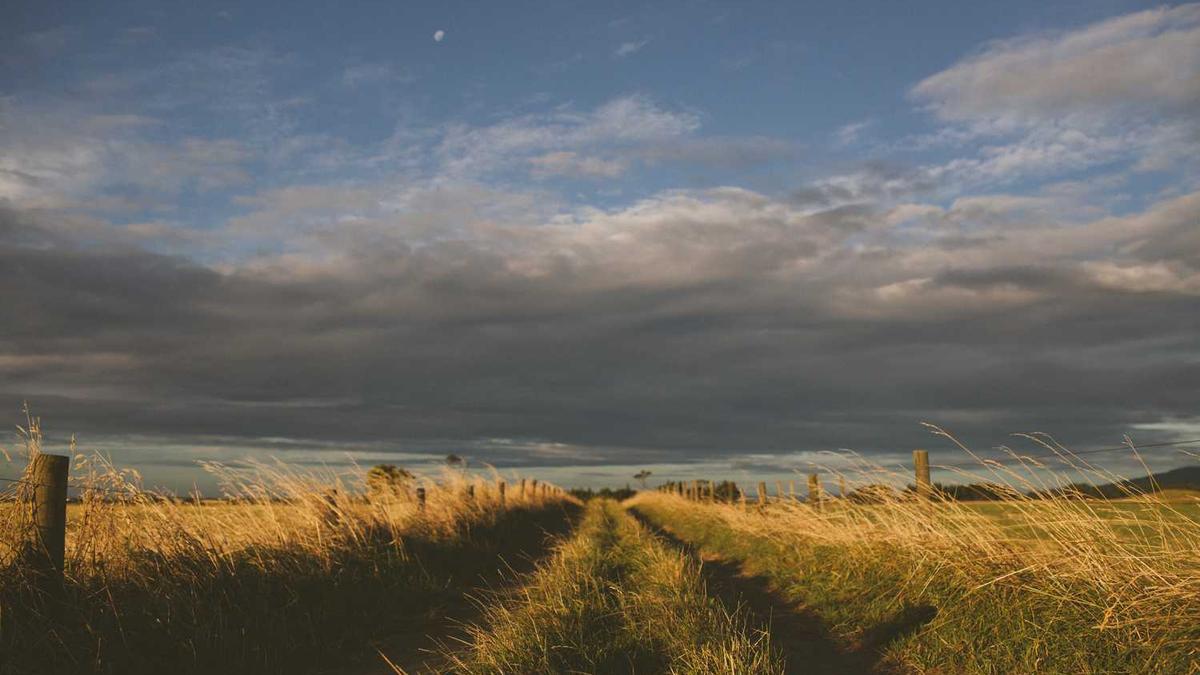 Bo Hines – ‘Anyone bearish on Bitcoin heading into 2026 is foolish’ - AMBCrypto