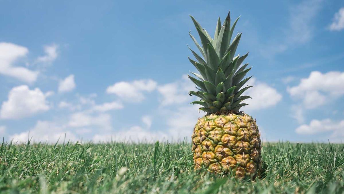 Crackdown on crypto tax evasion comes into force - Financial Times