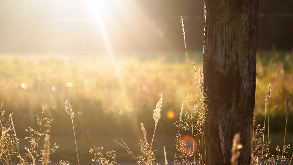 MARA Holdings: Despite Efforts To Diversify Operations, Shares Remain Tied To Bitcoin - Seeking Alpha