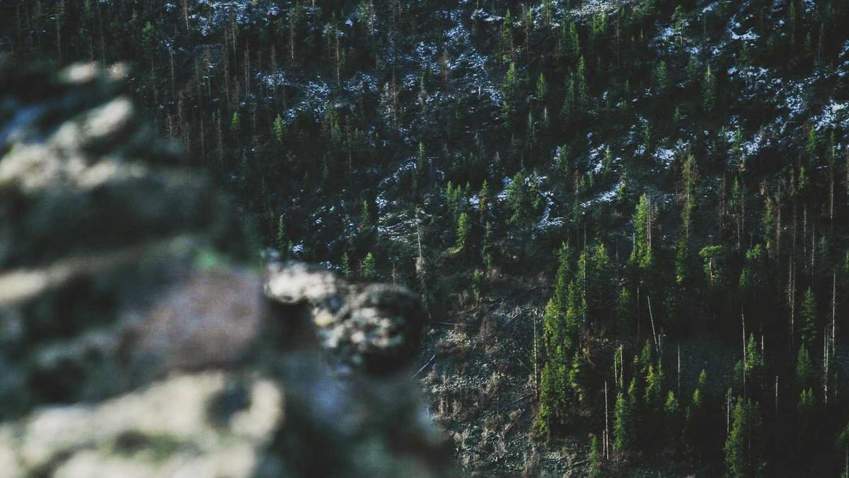 Stark 2026 Fed Dollar Warning Primes Bitcoin And Crypto For A Price Boom - Forbes