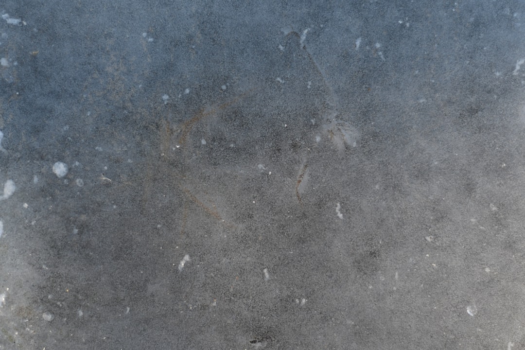 Weekly Crypto Price Prediction: Bitcoin, Ethereum and XRP - CoinGape