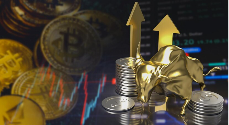 A Detailed Case Study of Fluctuations in The Crypto Market