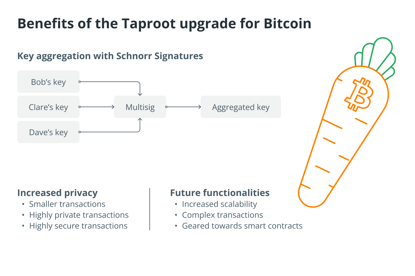 Taproot Upgrade: What are the benefits of implementation?